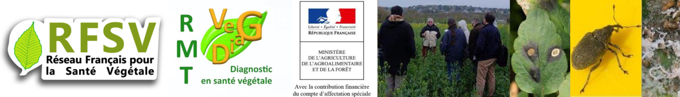 Réseau Français de la Santé des Végétaux - RFSV (attention le site n'est plus mis à jour depuis 2019)